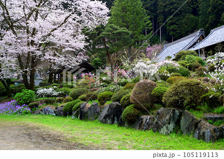 4月の霊山院は春の花に囲まれていた 4月の霊山院は春の花に囲まれていた 105119113