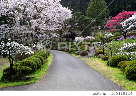 4月の霊山院は春の花に囲まれていた 4月の霊山院は春の花に囲まれていた 105119114