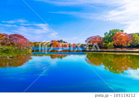 長居植物園の紅葉 105119212