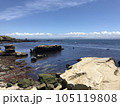 神奈川　観音崎公園　海 105119808