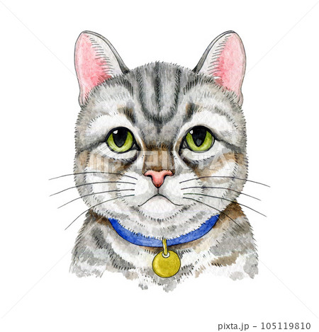 Grey tabby cat cartoon style illustration. Hand painted striped cute kitty watercolor portrait. Grey funny tabby kitten in a colar with green eyes and whiskers element. Isolated on white background 105119810