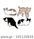 vector set of cat 105120834