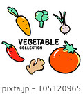 set of vegetables vector 105120965