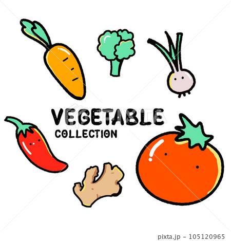 set of vegetables vector 105120965