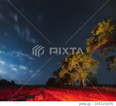 Milky Way Galaxy In Night Starry Sky Above Tree In Summer Forest. Glowing Stars Above Landscape. View From Europe 105121076