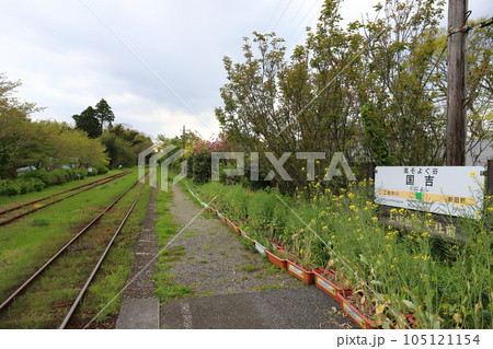 千葉　いすみ　いすみ鉄道国吉駅 105121154