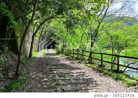 初夏の旧福知山線　廃線を利用したハイキングコース　渓谷とトンネル群 105121416