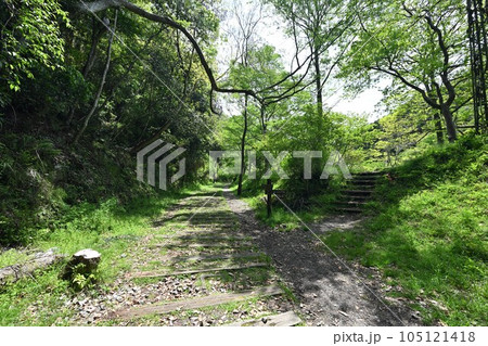 初夏の旧福知山線　廃線を利用したハイキングコース　渓谷とトンネル群 105121418