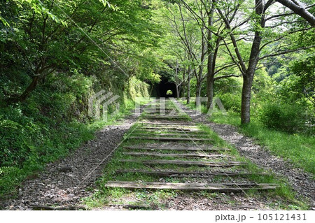 初夏の旧福知山線 廃線を利用したハイキングコース 渓谷とトンネル群 初夏の旧福知山線 廃線を利用したハイキングコース 渓谷とトンネル群 105121431