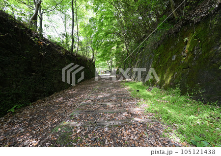初夏の旧福知山線 廃線を利用したハイキングコース 渓谷とトンネル群 初夏の旧福知山線 廃線を利用したハイキングコース 渓谷とトンネル群 105121438