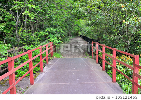 初夏の旧福知山線 廃線を利用したハイキングコース 渓谷とトンネル群 初夏の旧福知山線 廃線を利用したハイキングコース 渓谷とトンネル群 105121465