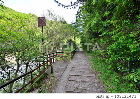 初夏の旧福知山線 廃線を利用したハイキングコース 渓谷とトンネル群 初夏の旧福知山線 廃線を利用したハイキングコース 渓谷とトンネル群 105121473