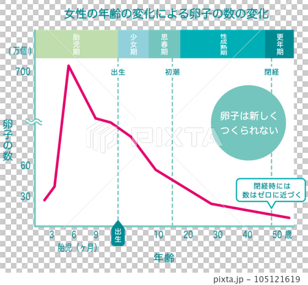 卵子の数の変化　グラフ 105121619