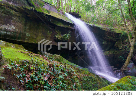 Waterfall at Phu Kradueng national park, Loei Thailand, beautiful landscape of waterfalls in rainforest Waterfall at Phu Kradueng national park, Loei Thailand, beautiful landscape of waterfalls in rainforest 105121808