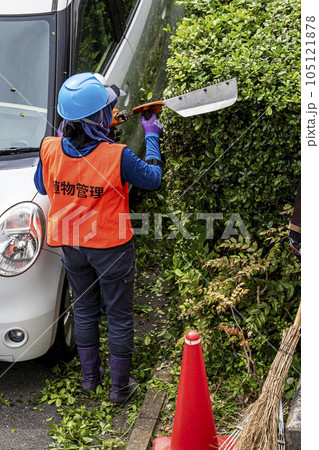 生垣を電動の剪定機できれいに刈る女性の植木職人 生垣を電動の剪定機できれいに刈る女性の植木職人 105121878