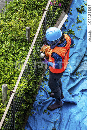 生垣を電動の剪定機できれいに刈る女性の植木職人 105121892