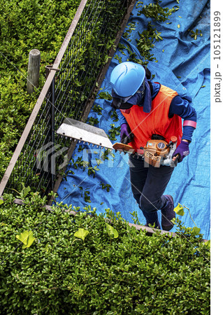 生垣を電動の剪定機できれいに刈る女性の植木職人 105121899