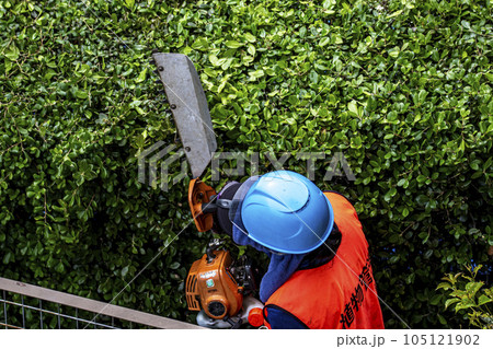 生垣を電動の剪定機できれいに刈る女性の植木職人 生垣を電動の剪定機できれいに刈る女性の植木職人 105121902