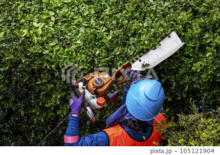 生垣を電動の剪定機できれいに刈る女性の植木職人 105121904