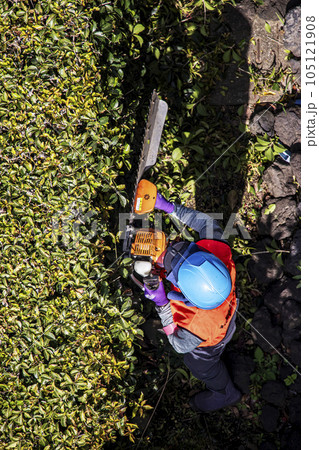生垣を電動の剪定機できれいに刈る女性の植木職人 105121908