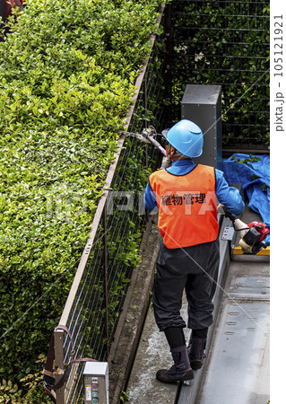 生垣を電動の剪定機できれいに刈る植木職人 105121921