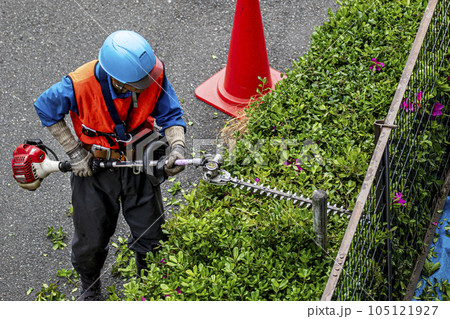 生垣を電動の剪定機できれいに刈る植木職人 105121927
