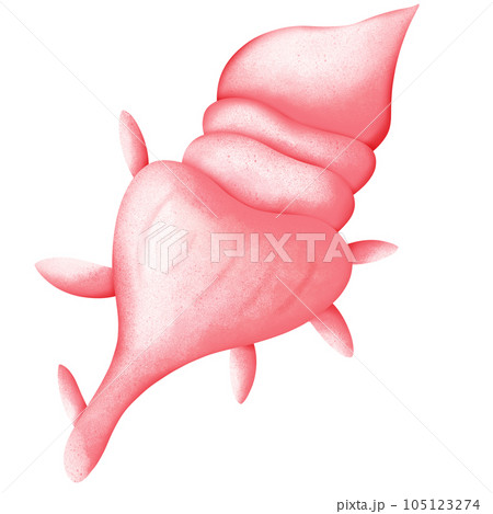 pink shell on white background 105123274