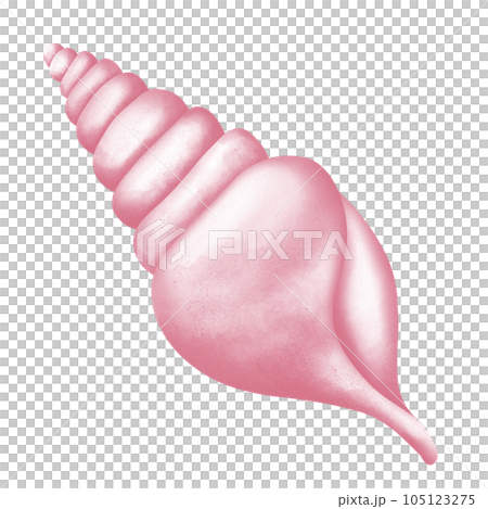 Shell of pink Shell of pink 105123275