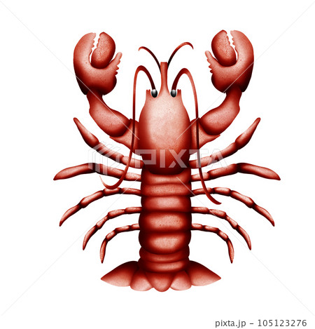 cartoon red crab isolated on white background 105123276