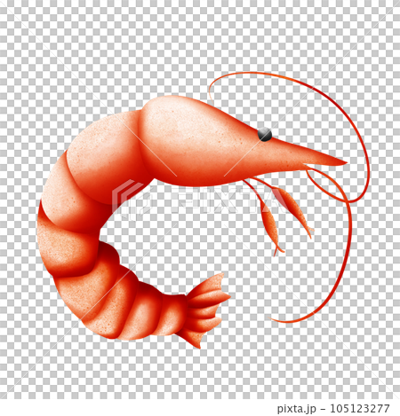 fresh shrimp isolated on white background fresh shrimp isolated on white background 105123277