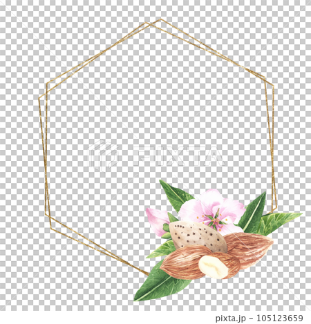 Hexagon golden frame of nuts and leaves almonds. Isolated on a white background. Watercolor hand drawing. For cards, packaging, invitation. 105123659
