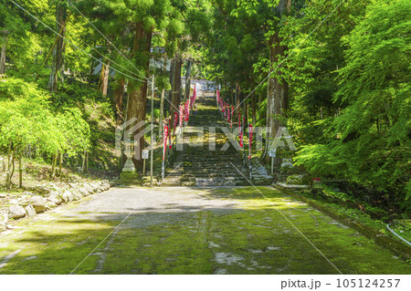 與喜天満神社 新緑に包まれた長い石段の参道(奈良県桜井市初瀬) 與喜天満神社 新緑に包まれた長い石段の参道(奈良県桜井市初瀬) 105124257