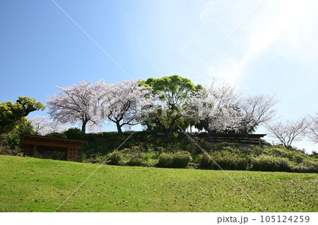 桜のある風景 桜のある風景 105124259