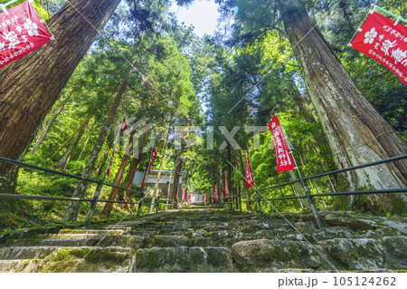 與喜天満神社 新緑に包まれた長い石段の参道(奈良県桜井市初瀬) 與喜天満神社 新緑に包まれた長い石段の参道(奈良県桜井市初瀬) 105124262