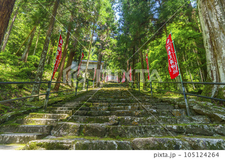 與喜天満神社　新緑に包まれた長い石段の参道（奈良県桜井市初瀬） 105124264