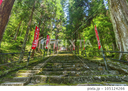 與喜天満神社 新緑に包まれた長い石段の参道(奈良県桜井市初瀬) 與喜天満神社 新緑に包まれた長い石段の参道(奈良県桜井市初瀬) 105124266