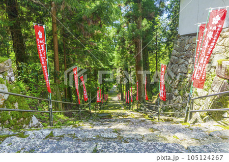 與喜天満神社　新緑に包まれた長い石段の参道（奈良県桜井市初瀬） 105124267