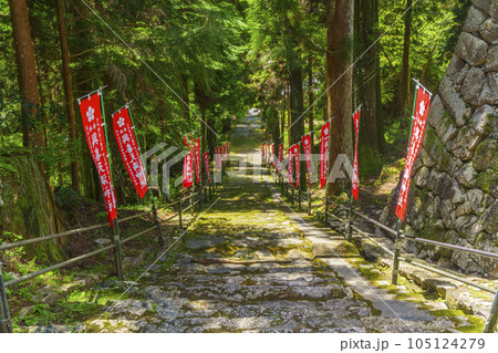 與喜天満神社　新緑に包まれた長い石段の参道（奈良県桜井市初瀬） 105124279