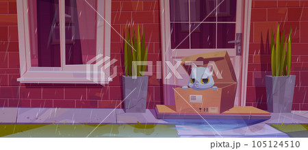 Abandon stray cat in box near house illustration 105124510