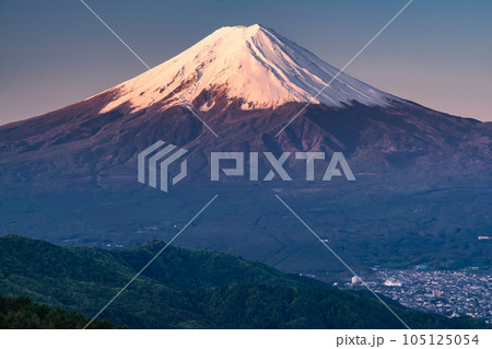 《山梨県》初夏の富士山・新緑の原生林 105125054