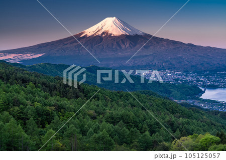 《山梨県》初夏の富士山・新緑の原生林 《山梨県》初夏の富士山・新緑の原生林 105125057