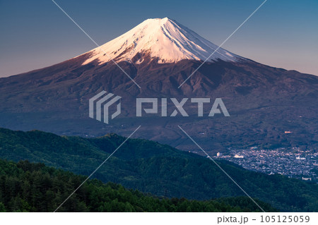 《山梨県》初夏の富士山・新緑の原生林 105125059