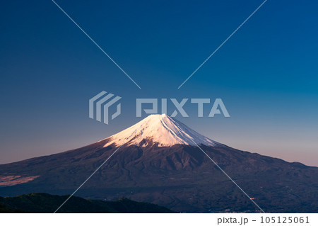 《山梨県》初夏の富士山・新緑の原生林 105125061