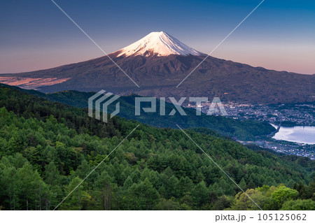 《山梨県》初夏の富士山・新緑の原生林 105125062
