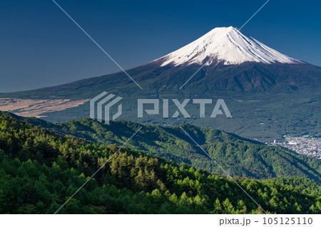 《山梨県》初夏の富士山・新緑の原生林 105125110