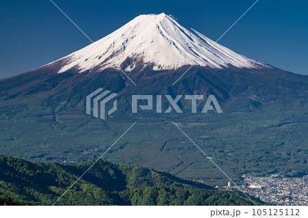 《山梨県》初夏の富士山・新緑の原生林 105125112