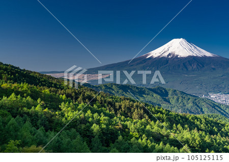 《山梨県》初夏の富士山・新緑の原生林 105125115