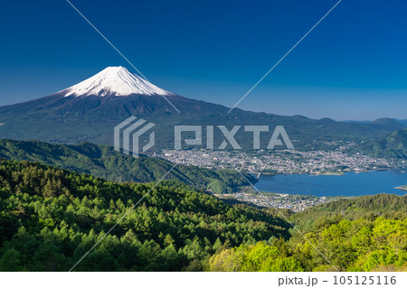 《山梨県》初夏の富士山・新緑の原生林 105125116