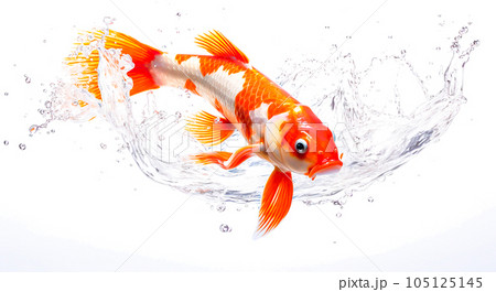 コイのイメージ - image of Koi fish - No1-1 Generative AI 105125145