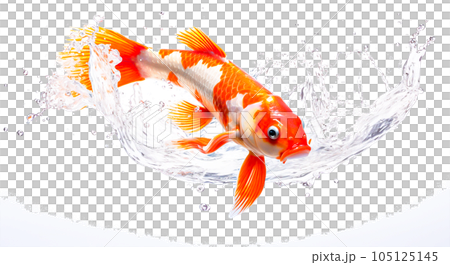 コイのイメージ - image of Koi fish - No1-1 Generative AI 105125145